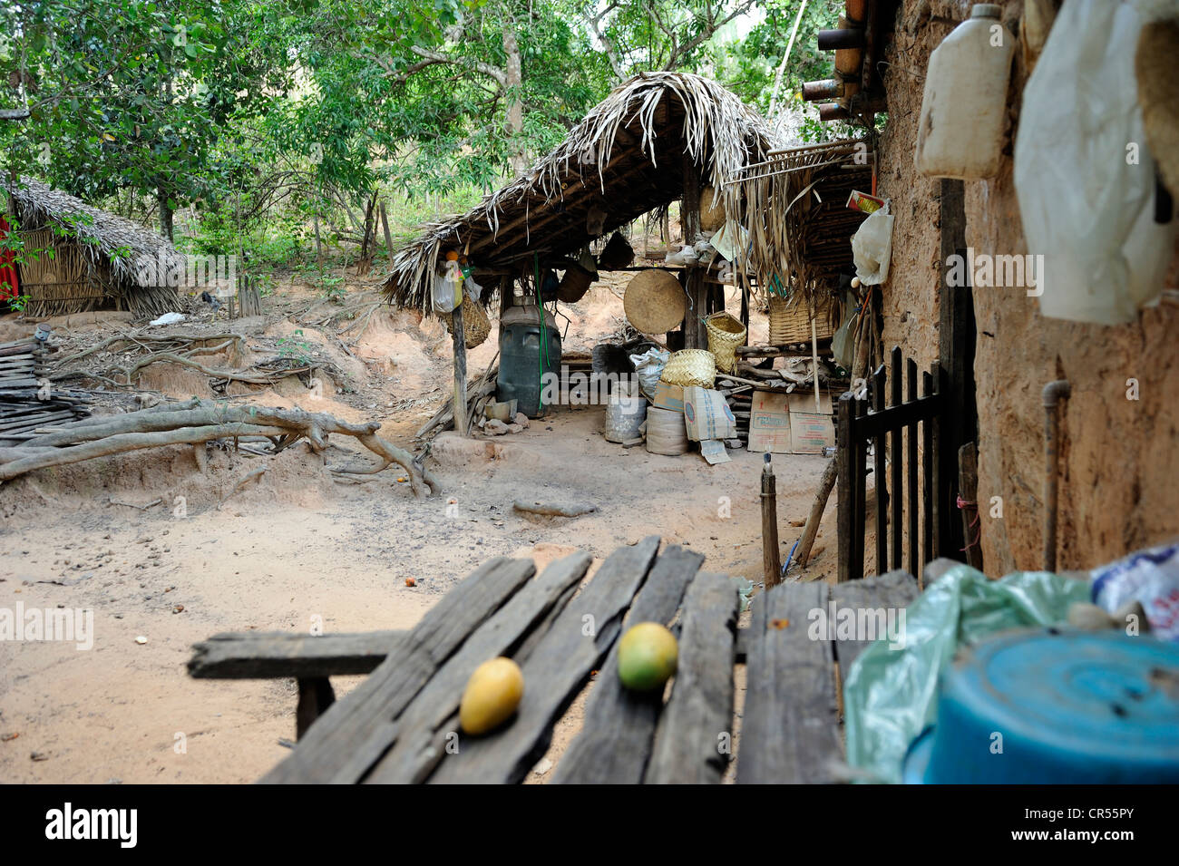 Capanne dei contadini nella foresta amazzonica, Maranhao, Brasile, Sud America, America Latina Foto Stock