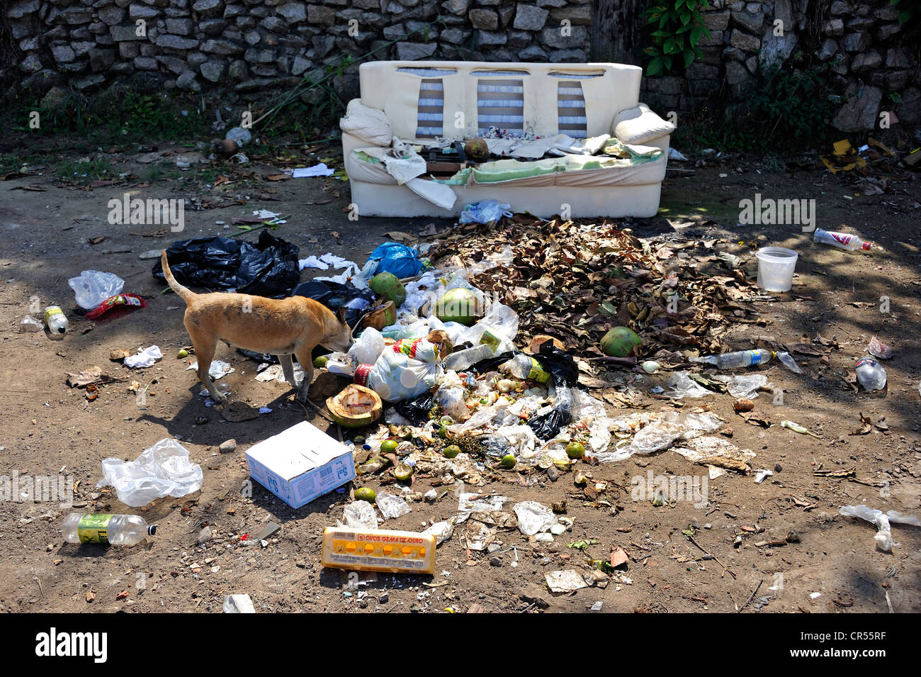 Cane rovistando tra l sacchi per immondizia su un mucchio di rifiuti vicino ad un vecchio divano, Rio de Janeiro, Brasile, Sud America, America Latina Foto Stock