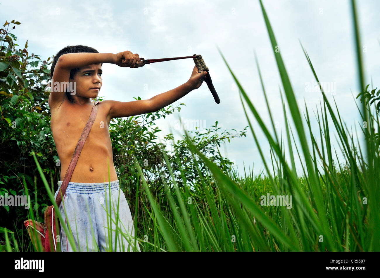 Una fionda immagini e fotografie stock ad alta risoluzione - Alamy