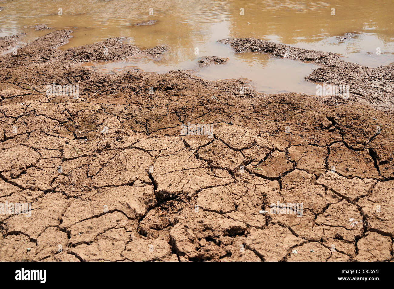Terreno rotto sul bordo di un quasi svanito foro per l'acqua, gli effetti del cambiamento climatico, Gran Chaco, provincia Foto Stock