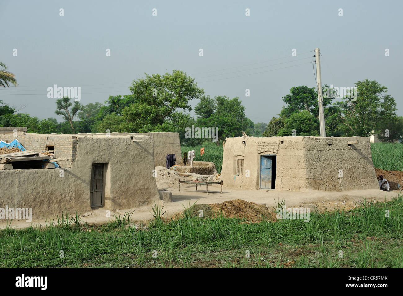Villaggio con i tradizionali mattoni di fango case, Lashari Wala village, Punjab, Pakistan, Asia Foto Stock