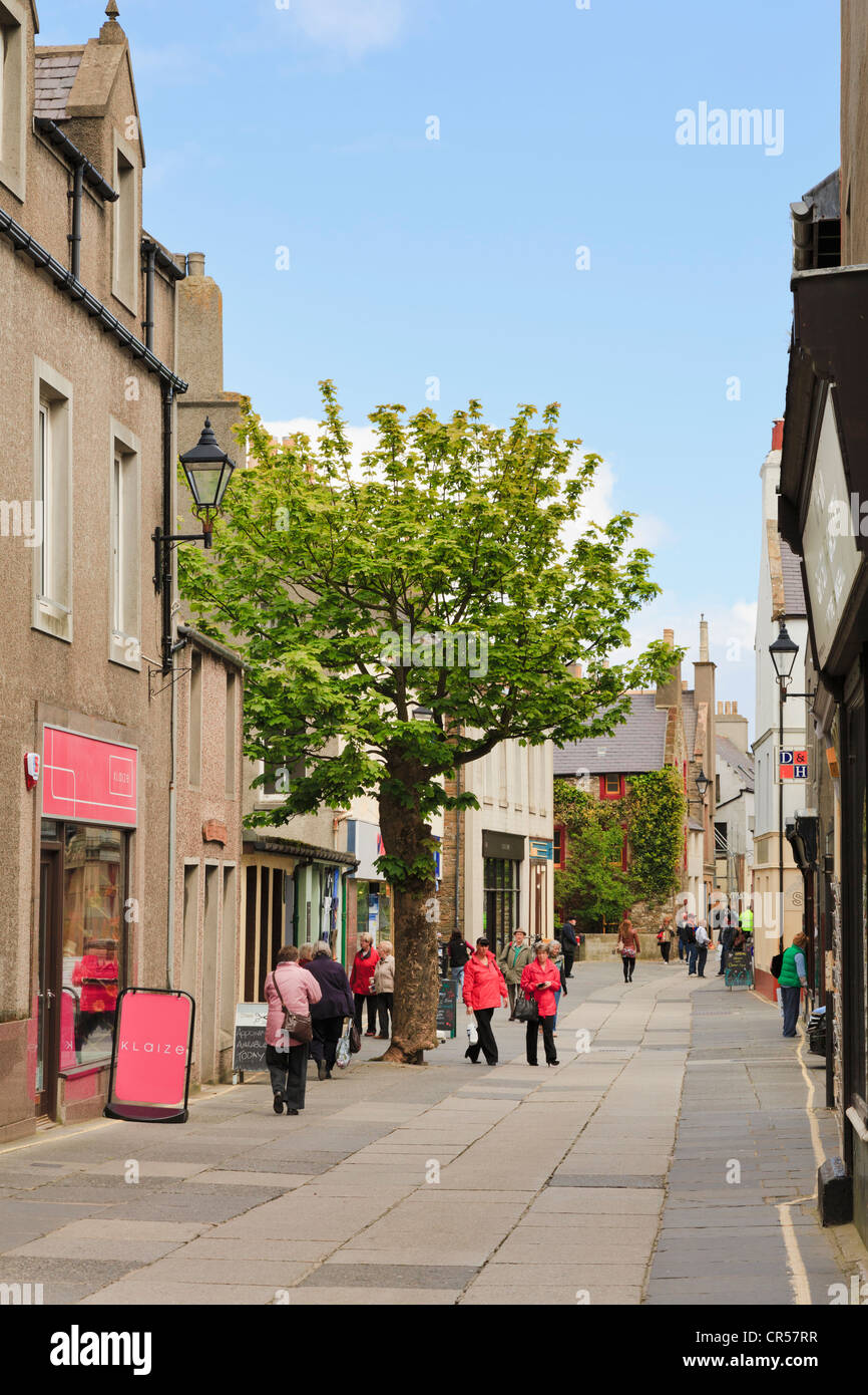 Scena in area pedonale strada principale con il grande albero e people shopping in Albert Street Kirkwall Isole Orcadi Scozia UK Foto Stock