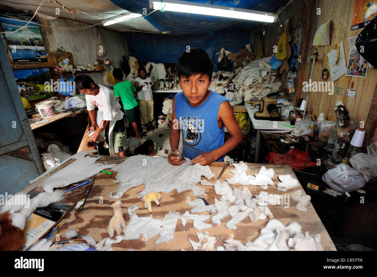 Il lavoro minorile, ragazzo la produzione di giocattoli morbidi e tappeti dal pelo di alpaca in una piccola azienda di famiglia, Pachamac, Lima, Peru Foto Stock