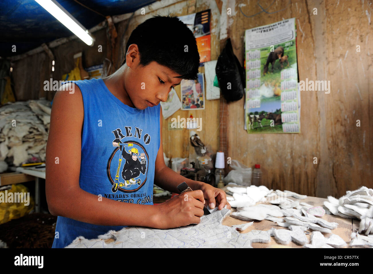 Il lavoro minorile, ragazzo la produzione di giocattoli morbidi e tappeti dal pelo di alpaca in una piccola azienda di famiglia, Pachamac, Lima, Peru Foto Stock