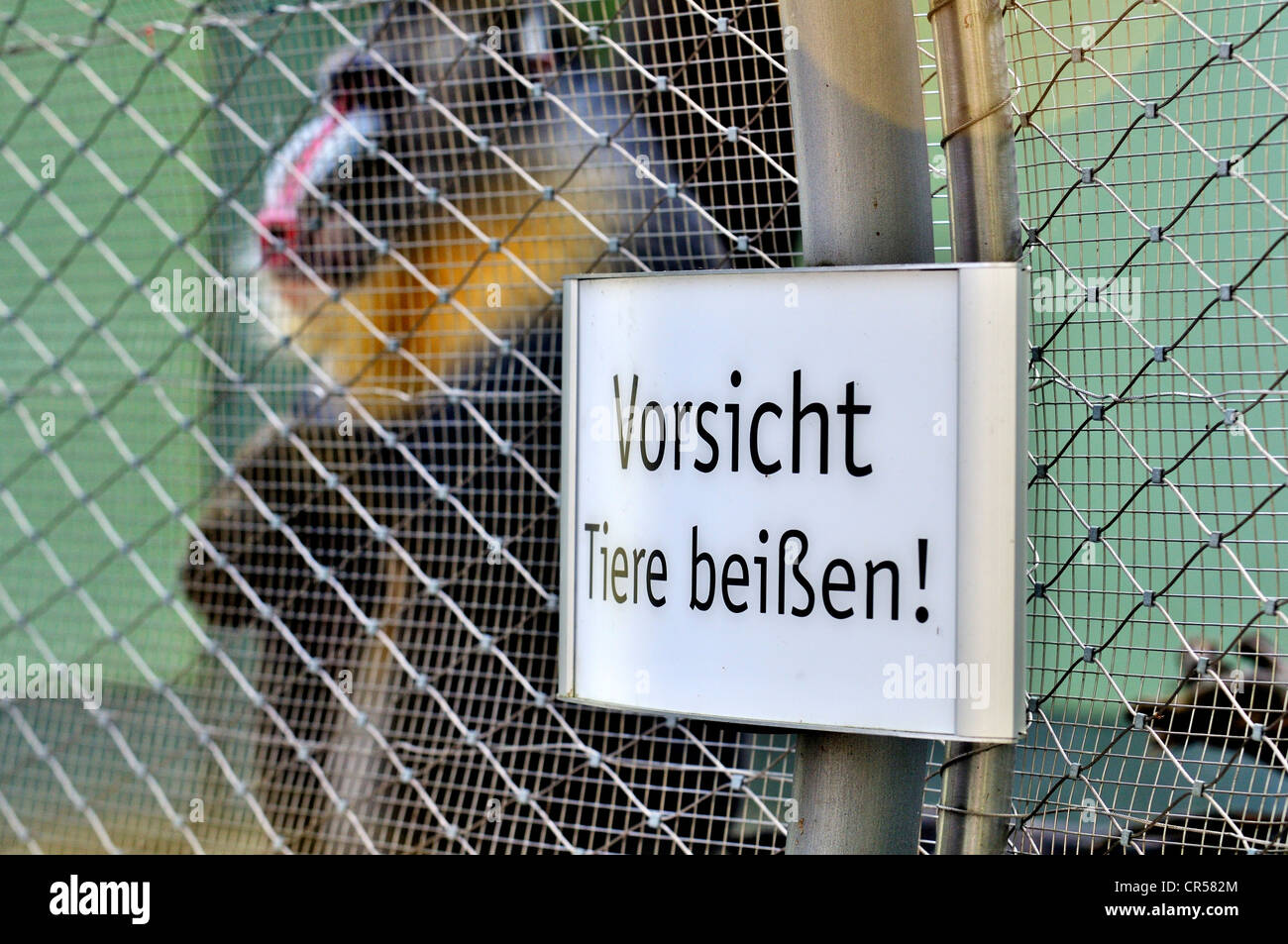 Segno, 'Vorsicht Tiere beissen' o 'Avviso animali bite' su una gabbia di scimmia, zoo di Hellabrunn, Monaco di Baviera, Germania, Europa Foto Stock