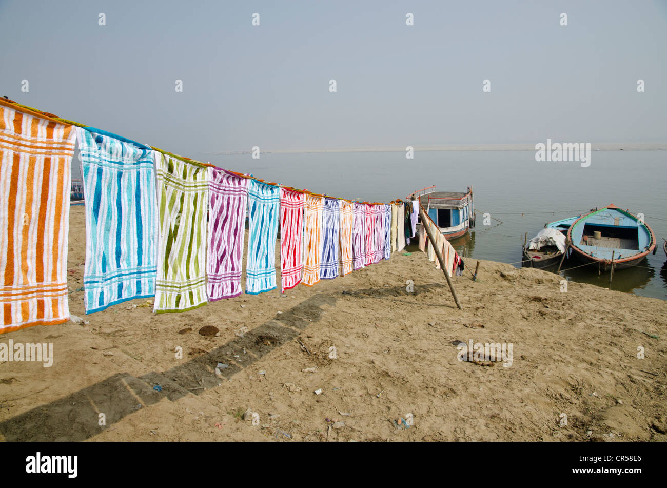 Servizio lavanderia servizio svolto dalla Dhobi walas, persone del servizio lavanderia cast, essiccamento a ghats lungo il fiume sacro Gange, , India, Asia Foto Stock