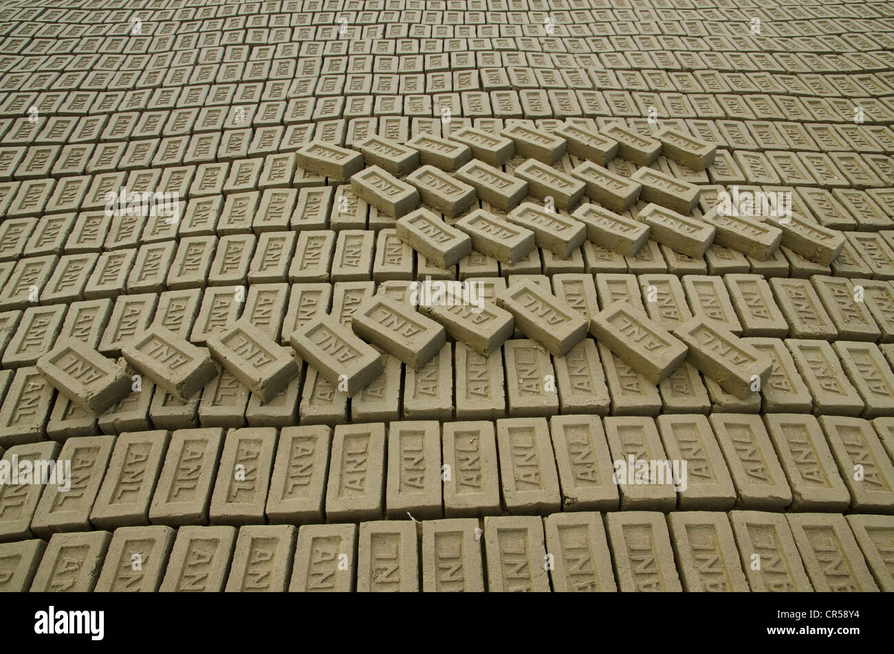 I mattoni in una fabbrica di mattoni, Jorhat area, Assam, India, Asia Foto Stock