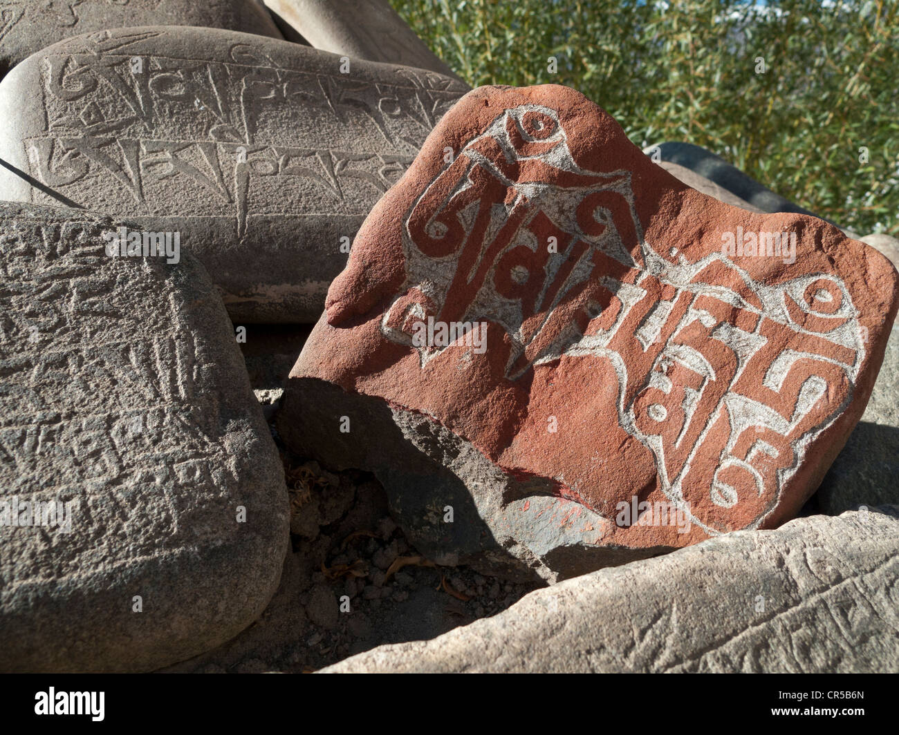 Mani di pietra con incisa la 'OM MANI PADME HUM', il mantra di Avalokiteshvara, il Buddha della Compassione, Thiksey Foto Stock