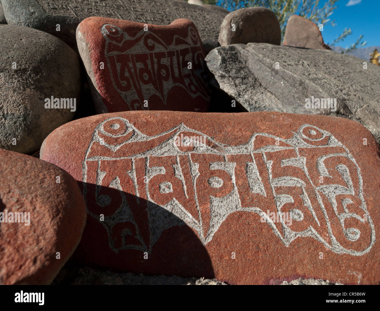 Mani di pietra con incisa la 'OM MANI PADME HUM', il mantra di Avalokiteshvara, il Buddha della Compassione, Thiksey Foto Stock