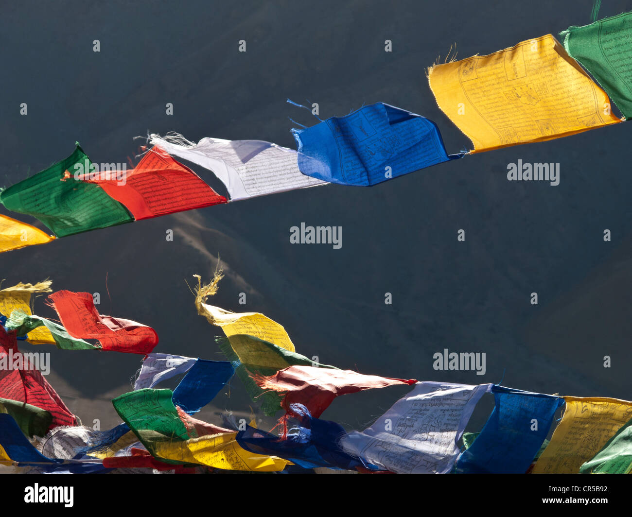 Colorate prayerflags buddista, Leh, Jammu e Kashmir, India, Asia Foto Stock