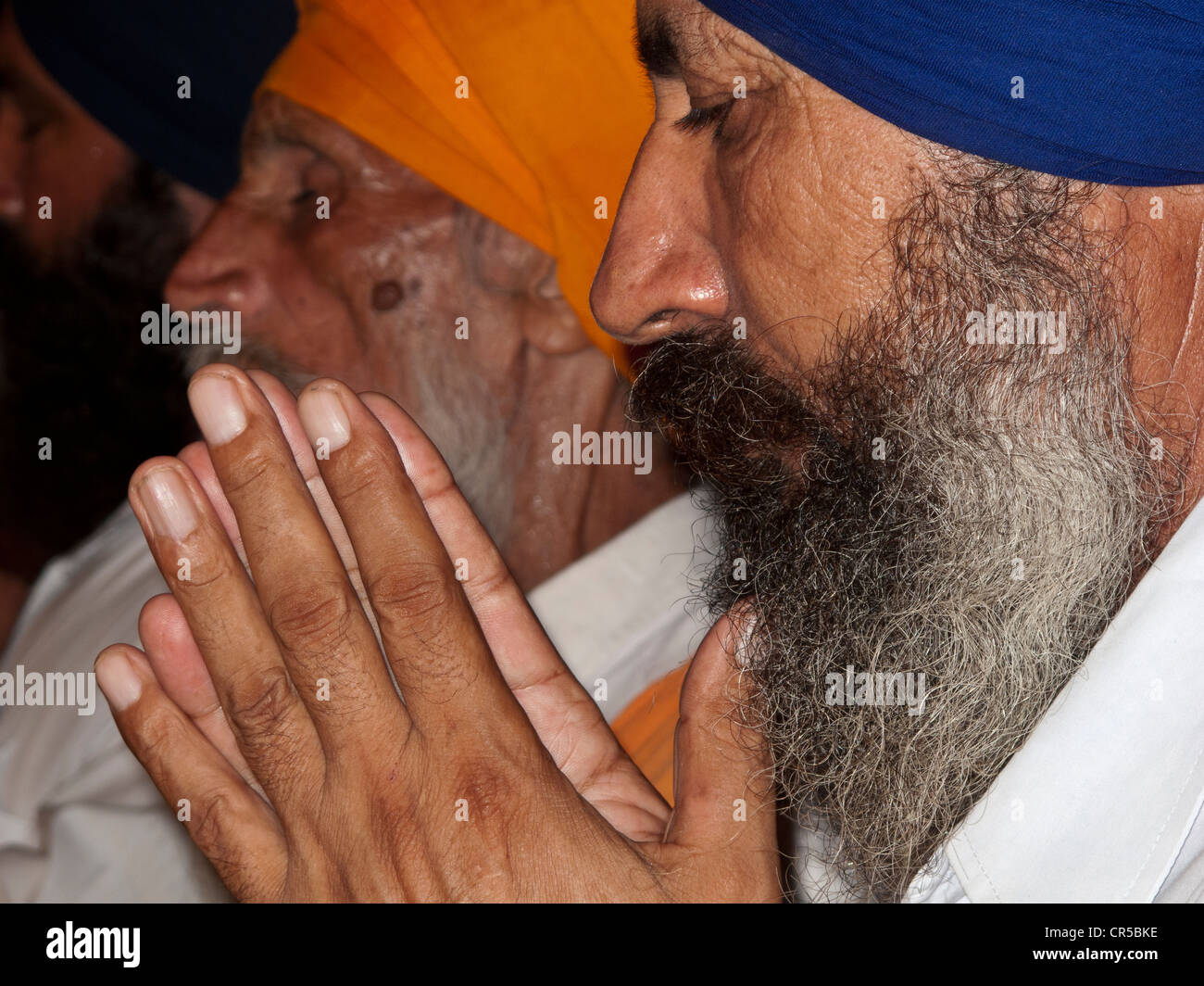 La religione sikh devoto a pregare presso l'entrata nel Tempio Dorato complesso, Amritsar Punjab, India, Asia Foto Stock