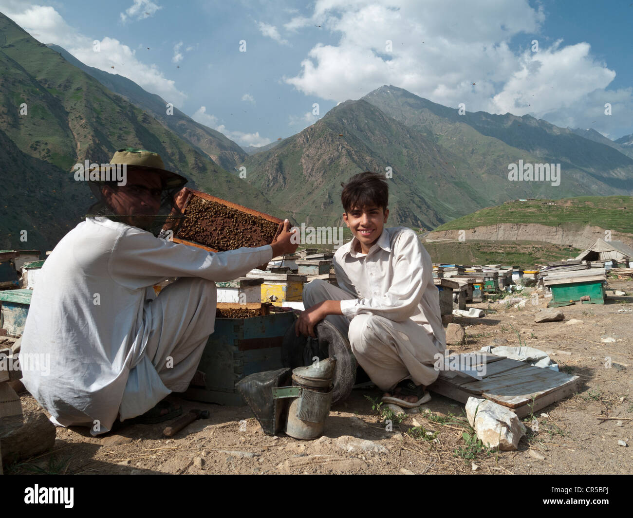 La gente del posto la produzione di miele in modo tradizionale, nella zona a sud di Naran, di Frontiera del Nord Ovest, Pakistan, Asia del Sud Foto Stock