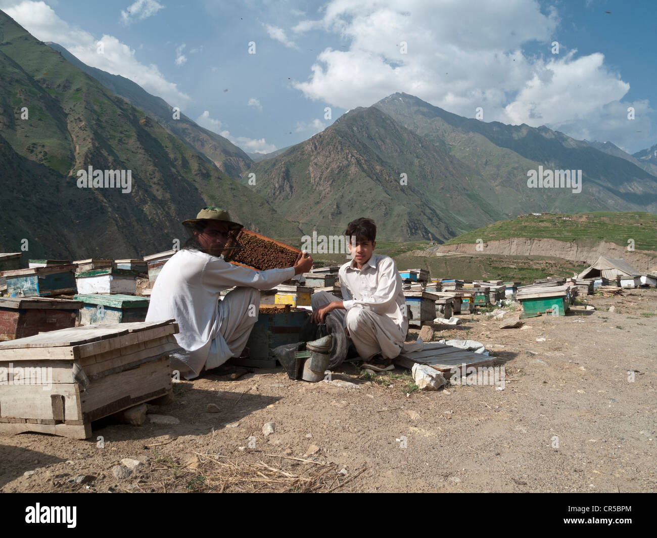 La gente del posto la produzione di miele in modo tradizionale, nella zona a sud di Naran, di Frontiera del Nord Ovest, Pakistan, Asia del Sud Foto Stock