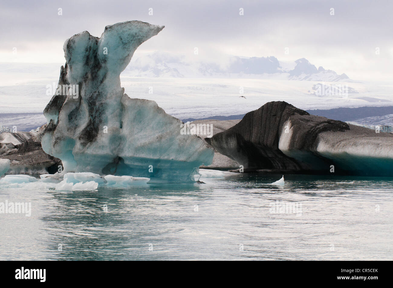 L'Islanda, Regione Austurland, ghiacciaio Vatnajokull, Iceberg di Jokulsarlon Lago glaciale Foto Stock