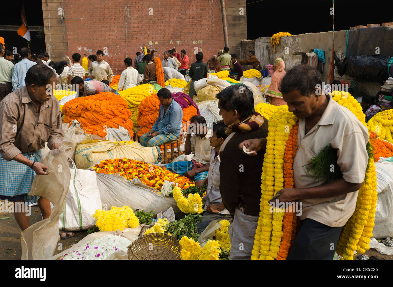 Il 125 Anno di Kolkata Il Mercato dei Fiori, India orientale del più grande mercato dei fiori, Calcutta, West Bengal, India, Asia Foto Stock