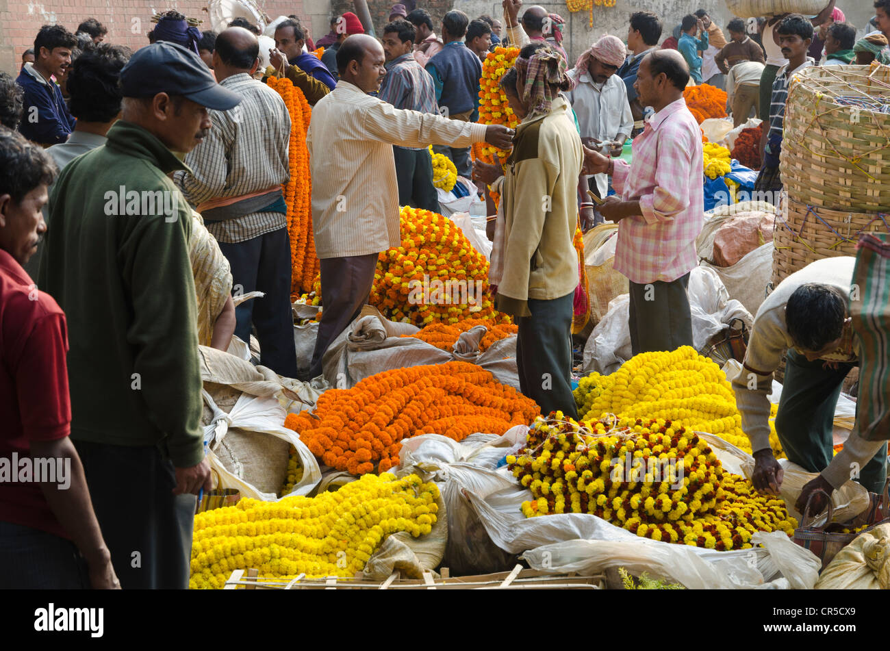 Il 125 Anno di Kolkata Il Mercato dei Fiori, India orientale del più grande mercato dei fiori, Calcutta, West Bengal, India, Asia Foto Stock
