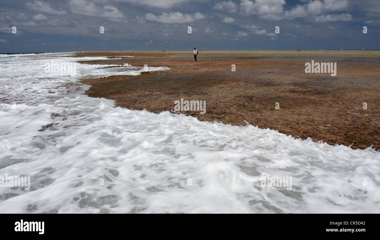 Una donna marinaio in piedi guardando le onde rompono sulla barriera corallina presso il South east end di Nord Minerva Reef, Sud Pacifico Foto Stock