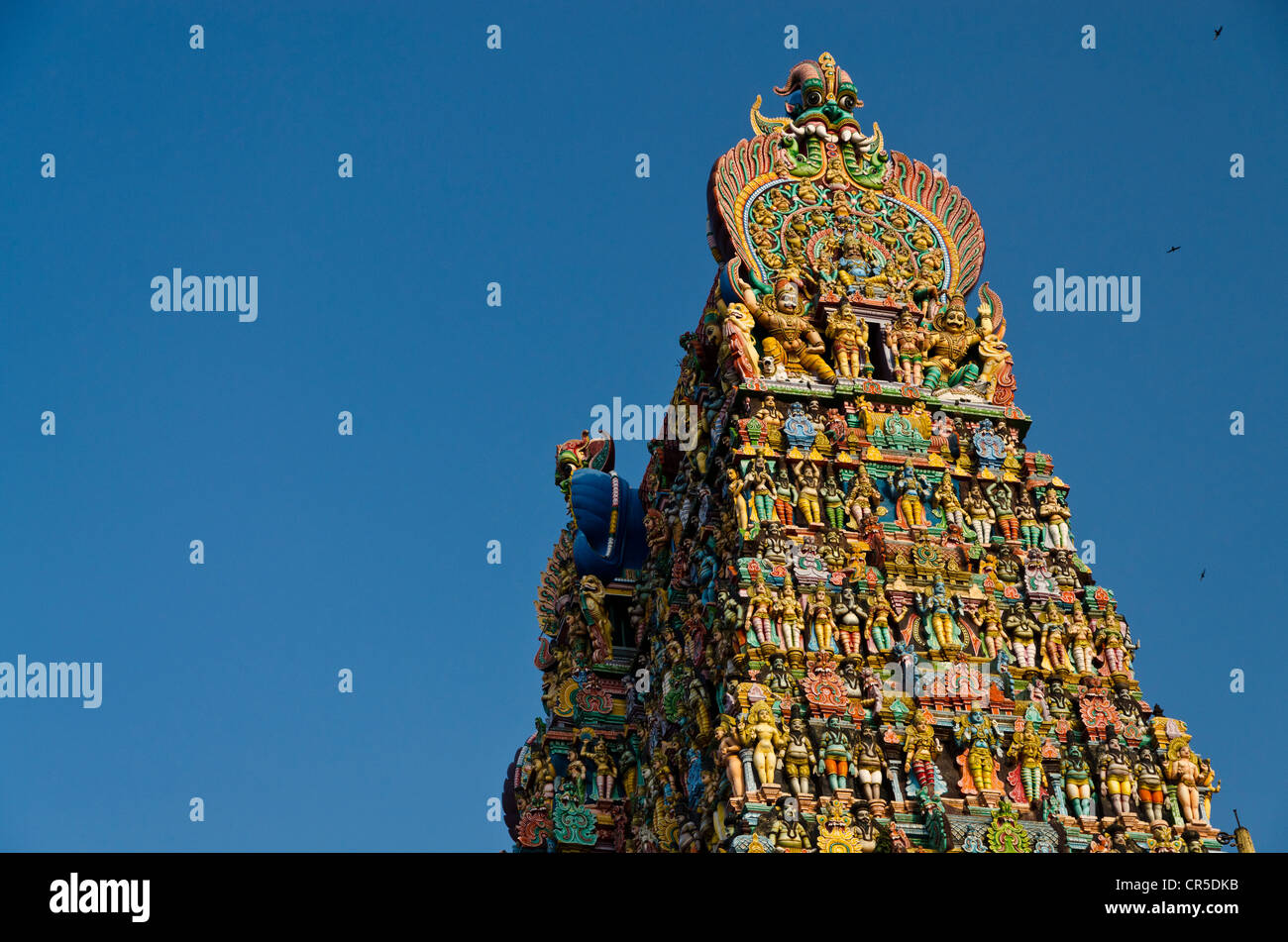 Gopuram del tempio Menakshi-Sundareshwara, alte fino a 50 m, abilmente decorate con migliaia di statue colorate di divinità Foto Stock