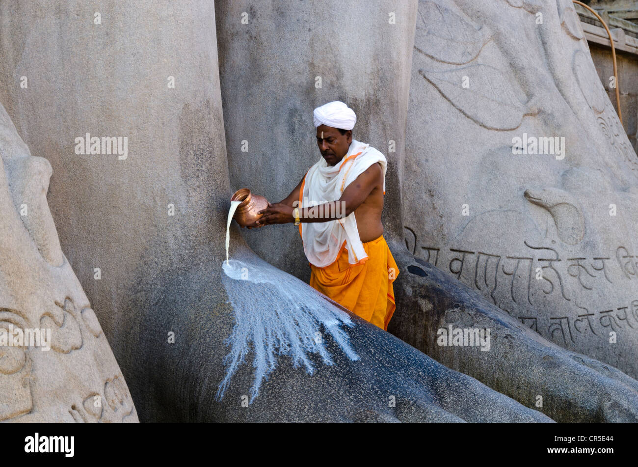 Un sacerdote locale è versando il latte ai piedi della gigantesca statua di Gomateshwara in Sravanabelagola, Karnataka, India, Asia Foto Stock