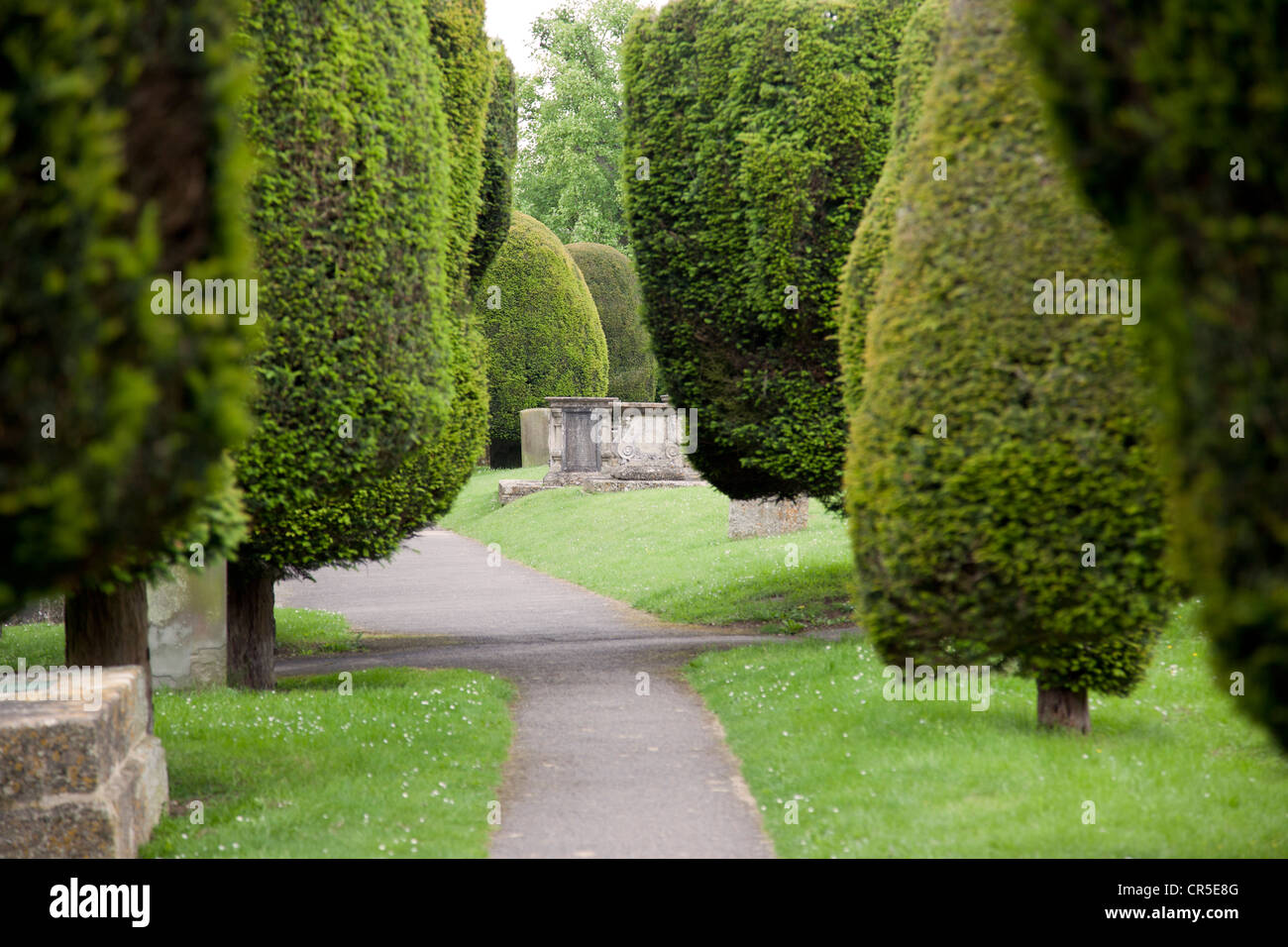 Yew Trees St Marys Church, Painswick, Stroud, Gloucestershire, Inghilterra, Regno Unito Foto Stock