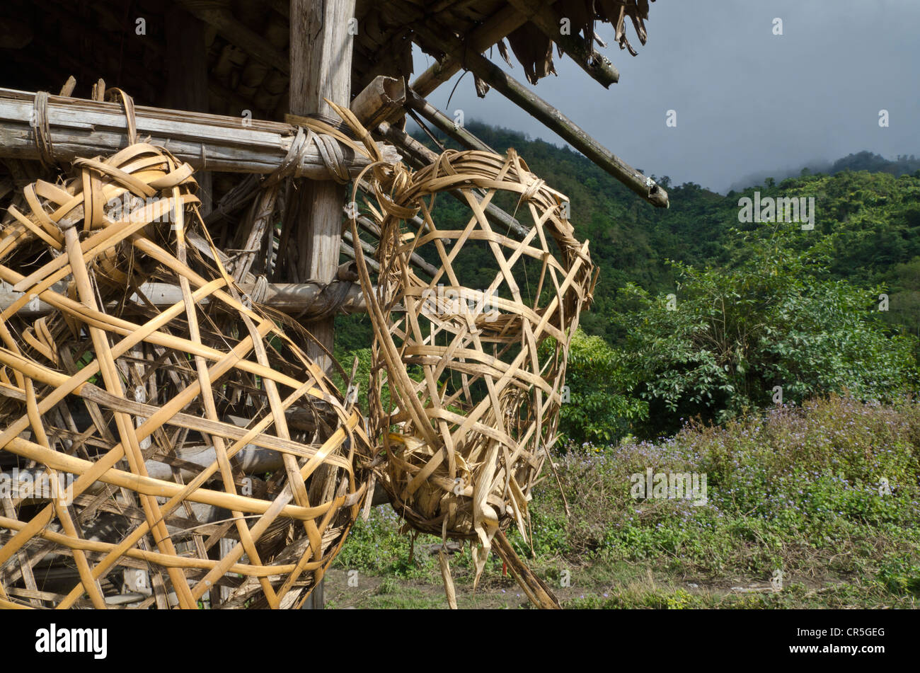 Il popolo della tribù Nishi ancora utilizzare animistc rituali per il mantenimento della salute e buona fortuna, , India, Asia Foto Stock