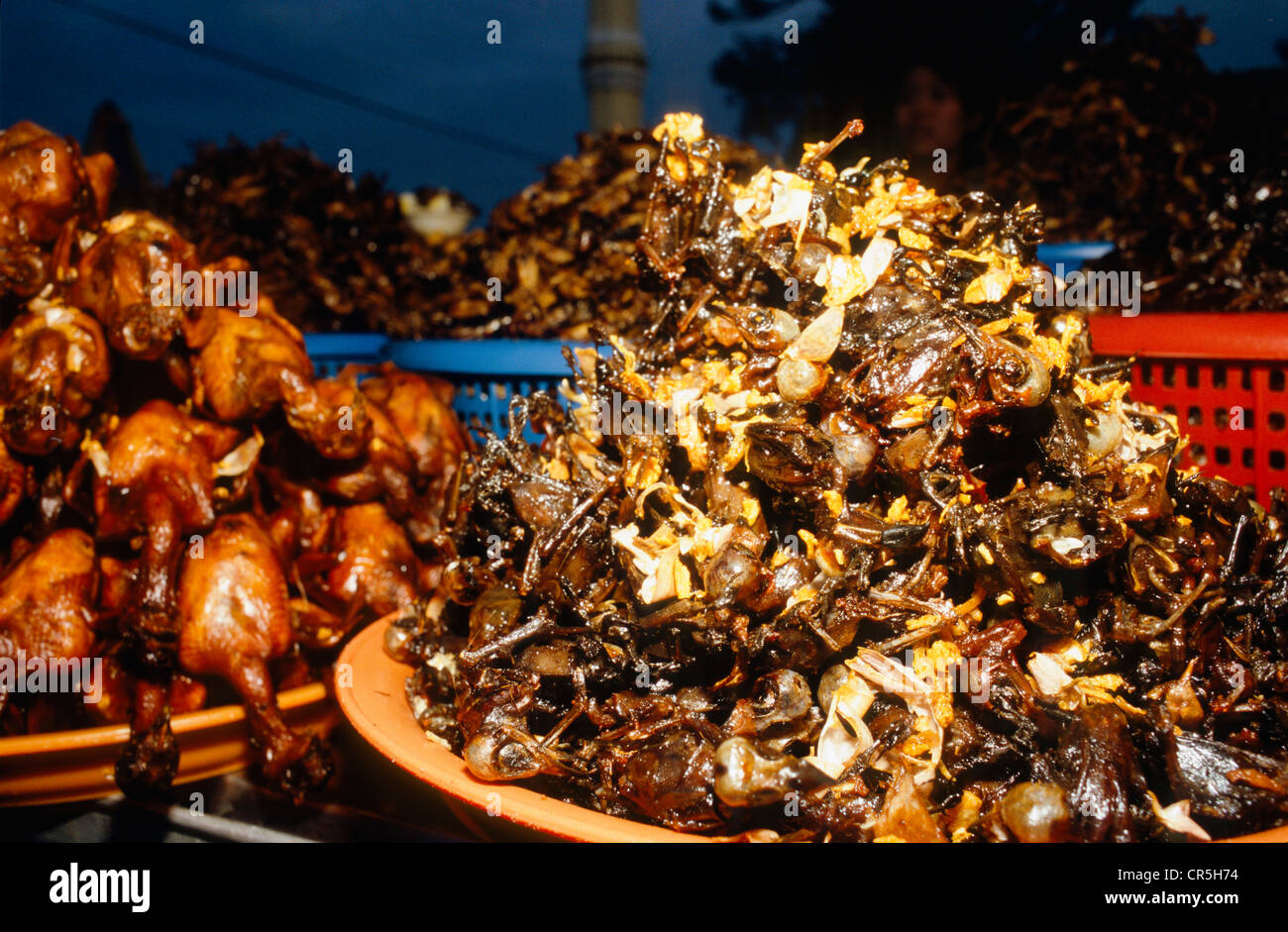 Insetti fritti, una prelibatezza locale, Pnom Penh, Cambogia, sud-est asiatico Foto Stock