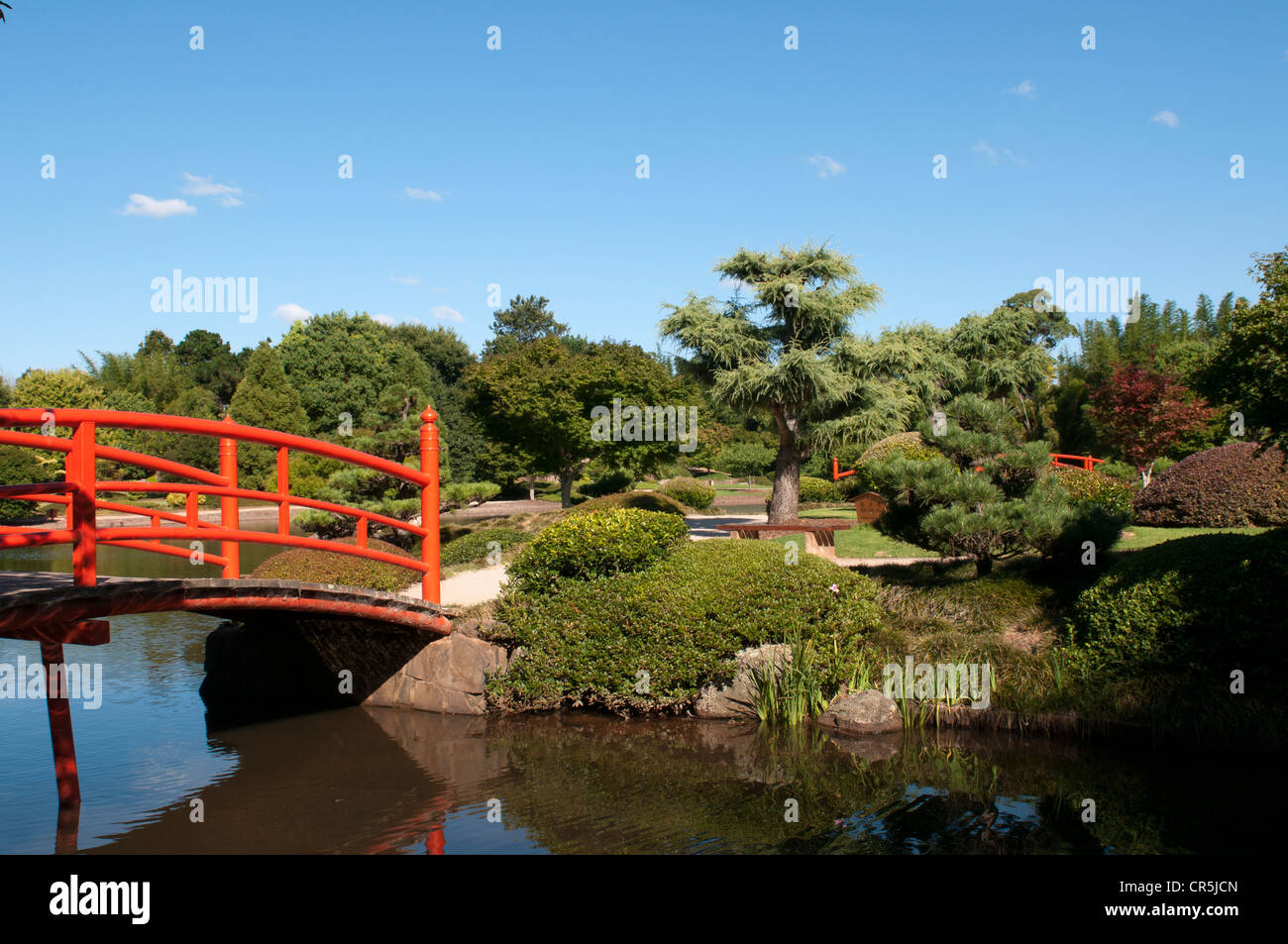 Giardini giapponesi in Toowoomba. Foto Stock