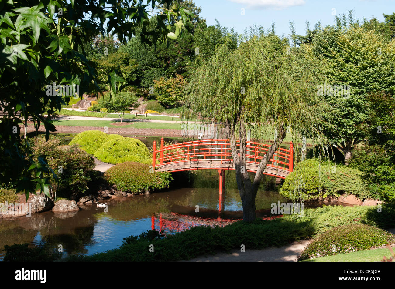 Giardini giapponesi in Toowoomba. Foto Stock