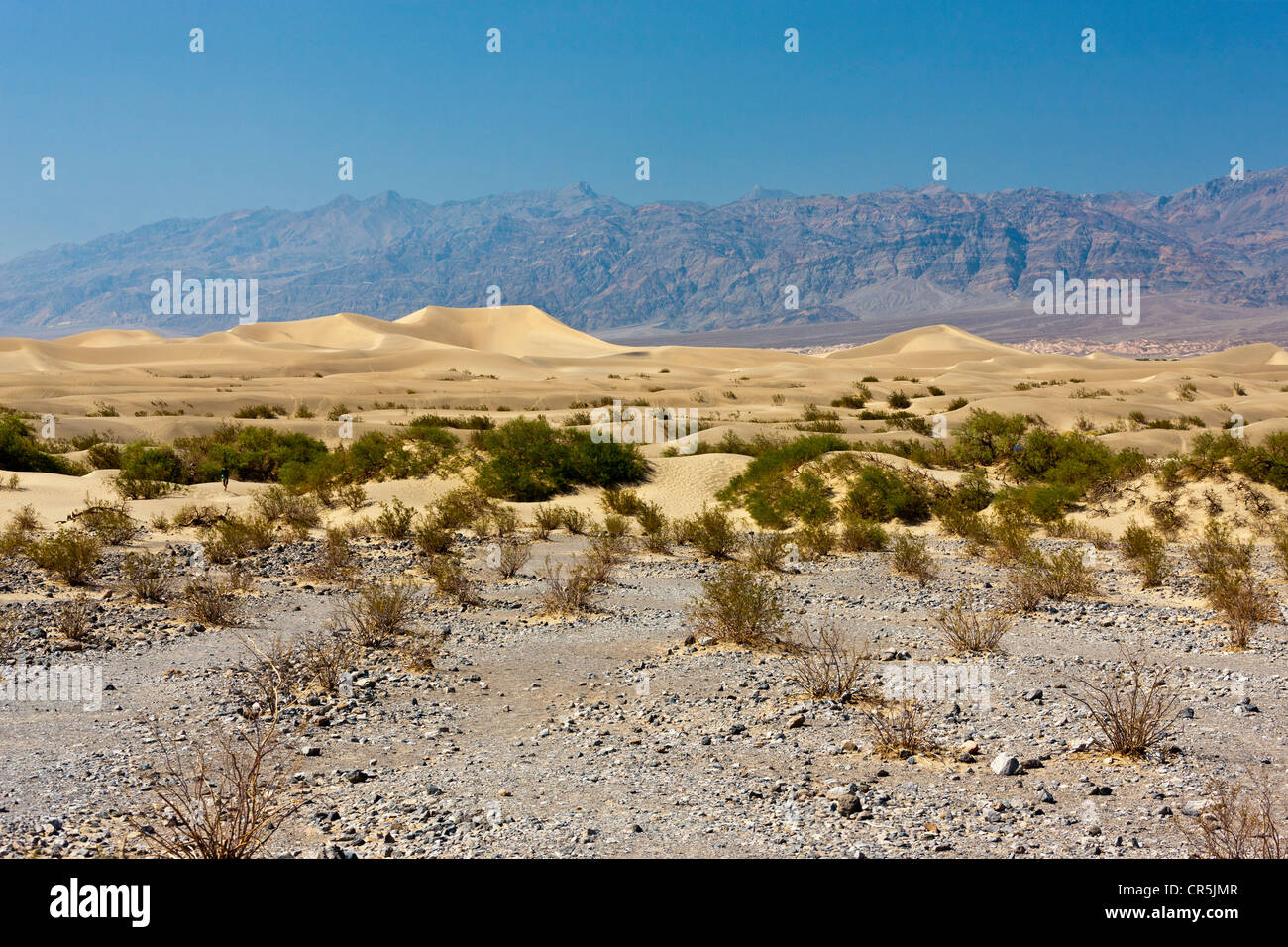 Le dune di sabbia, Death Valley, California, Stati Uniti d'America. JMH5349 Foto Stock