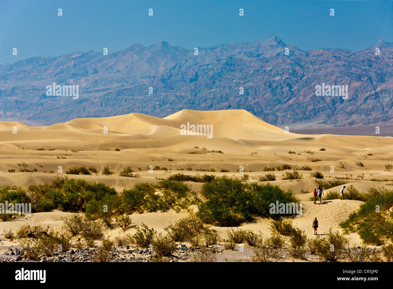 Le dune di sabbia, Death Valley, California, Stati Uniti d'America. JMH5350 Foto Stock