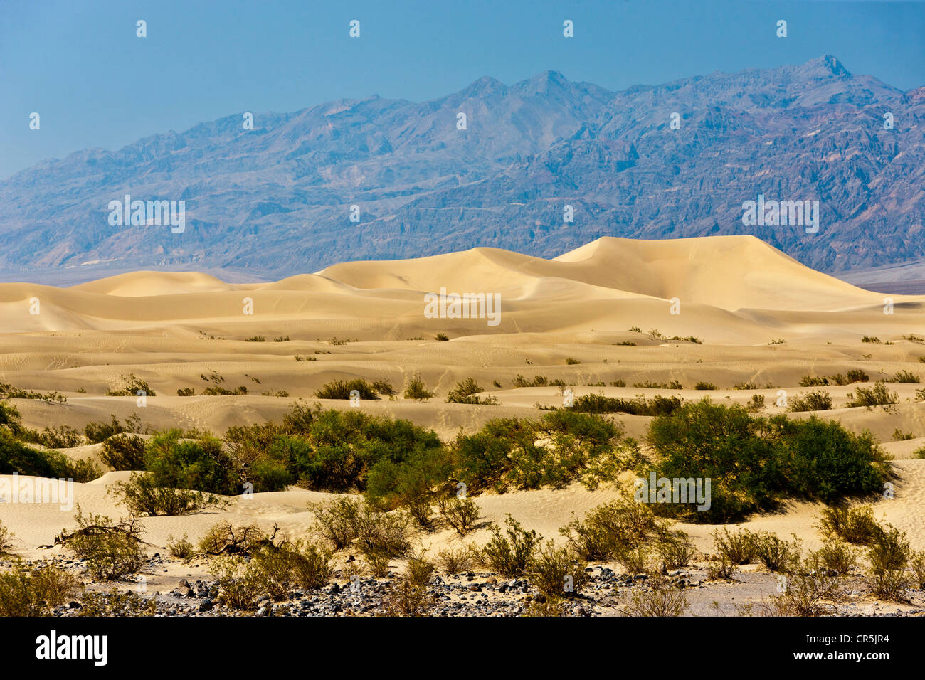 Le dune di sabbia, Death Valley, California, Stati Uniti d'America. JMH5351 Foto Stock