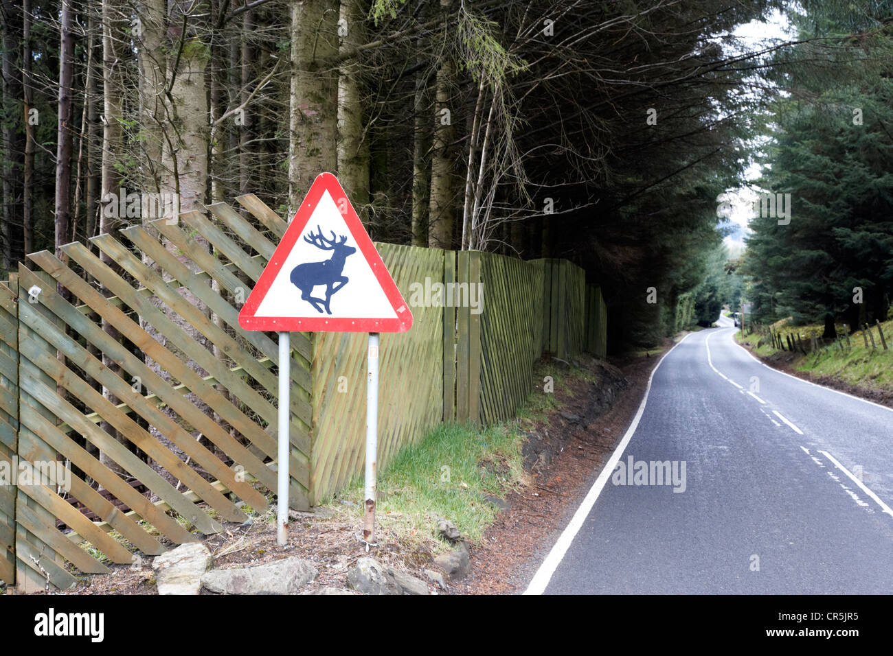 Pericolo di animali selvatici cartello stradale su una strada che attraversa un bosco nelle Highlands della Scozia Foto Stock