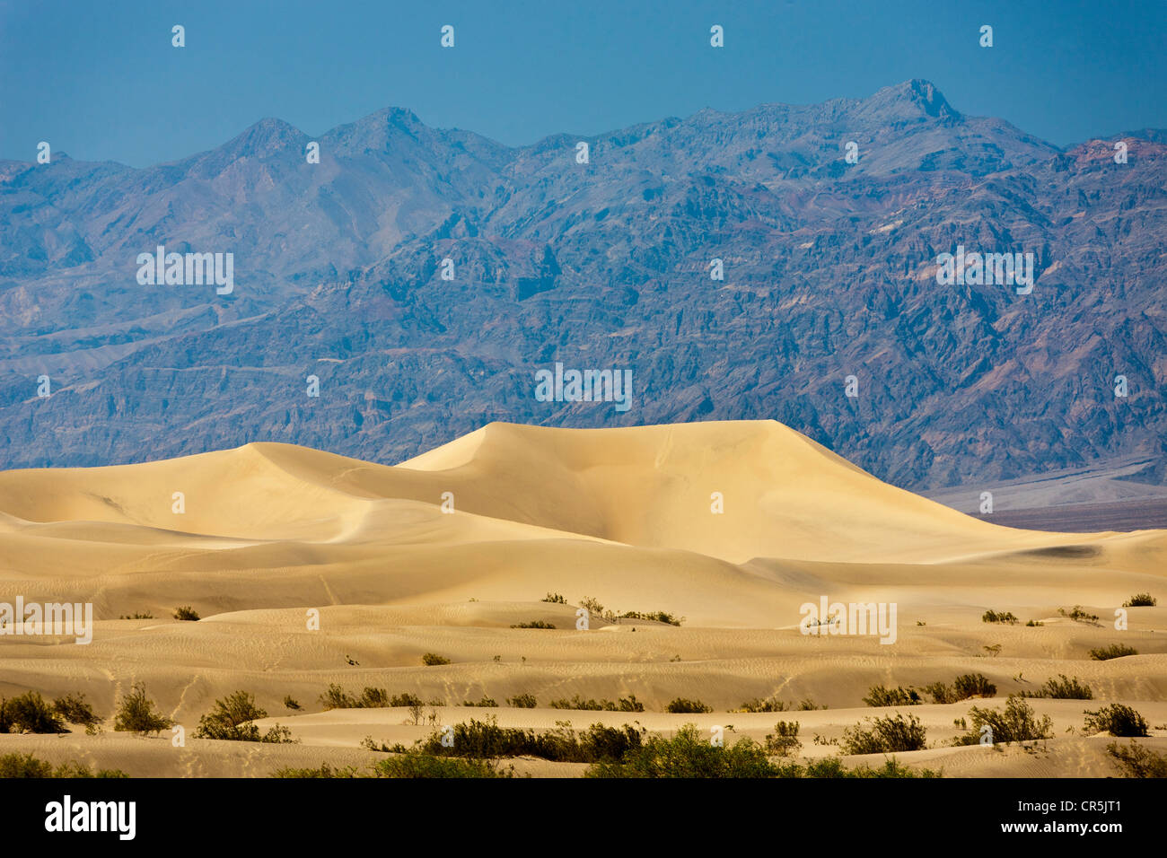 Le dune di sabbia, Death Valley, California, Stati Uniti d'America. JMH5352 Foto Stock