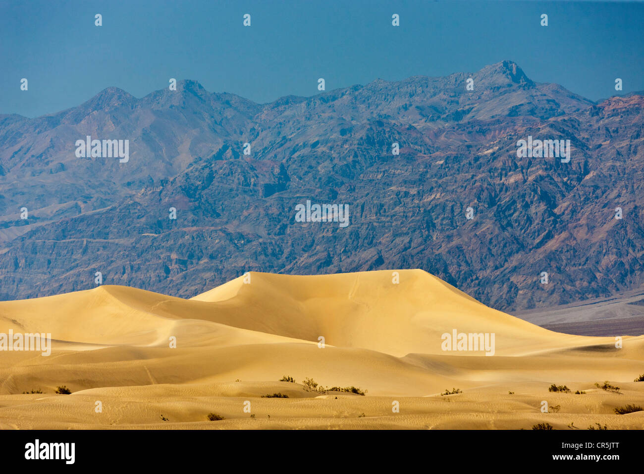 Le dune di sabbia, Death Valley, California, Stati Uniti d'America. JMH5353 Foto Stock