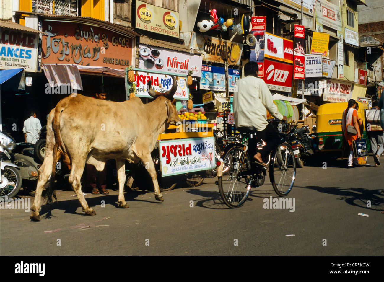 Vacca sacra per le strade di Ahmedabad, Gujarat, India, Asia Foto Stock