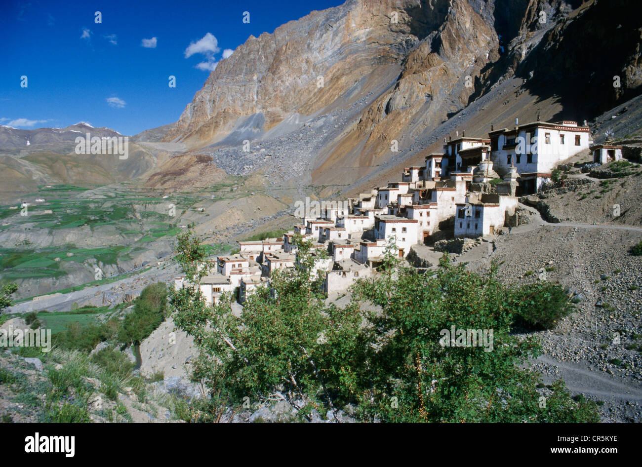 Lingshed, un remoto villaggio con uno dei più importanti in Gompas Zanskar, Jammu e Kashmir, India, Asia Foto Stock