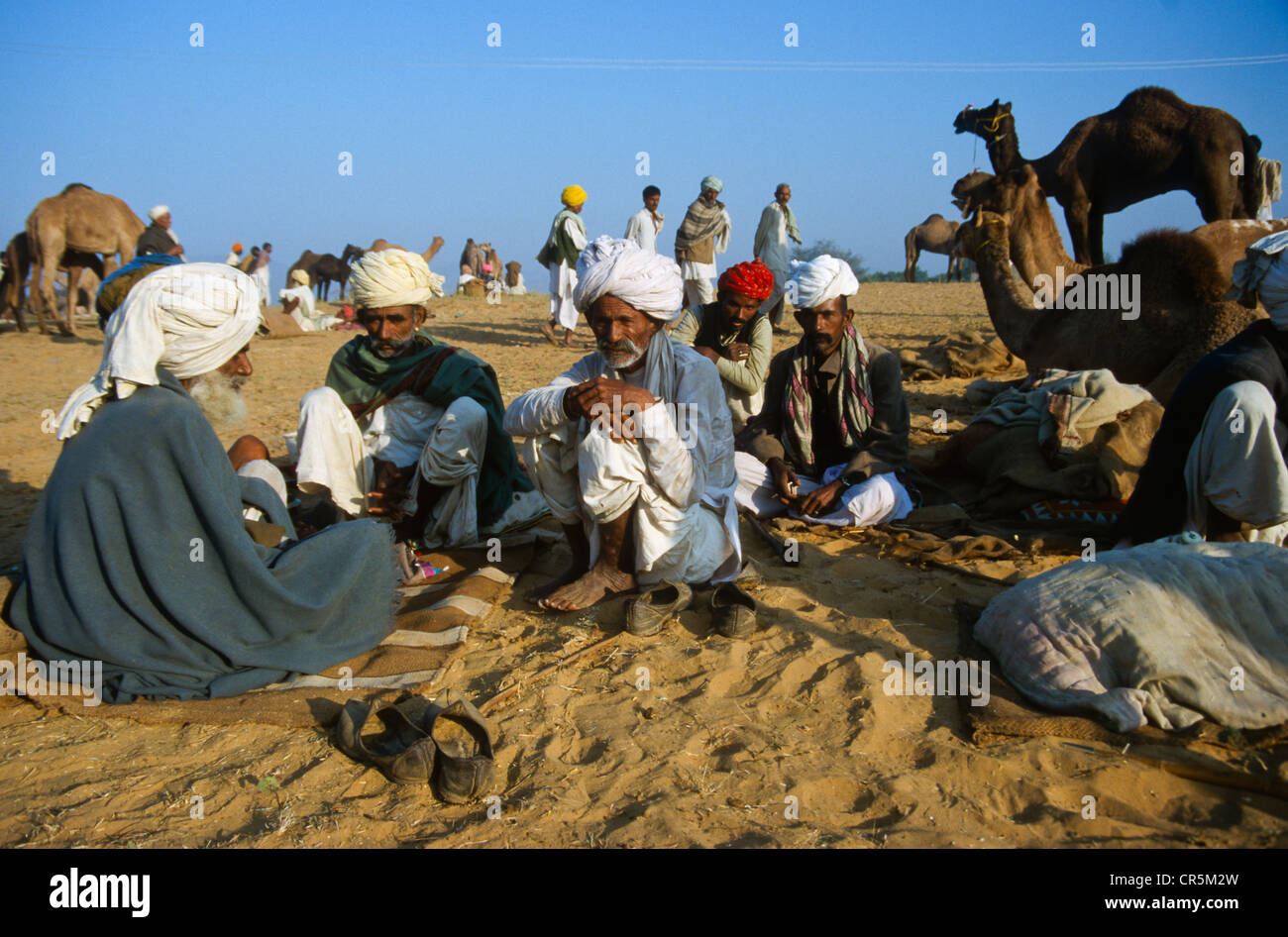 Pushkar Camel Fair, uno dei più grandi mercati di cammelli in Asia, Rajasthan, India, Asia Foto Stock