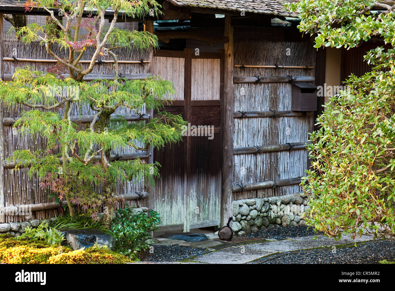 Giappone, isola di Honshu, Kinki regione, città di Kyoto, automn nelle montagne Higashiyama, Est da Kyoto Foto Stock