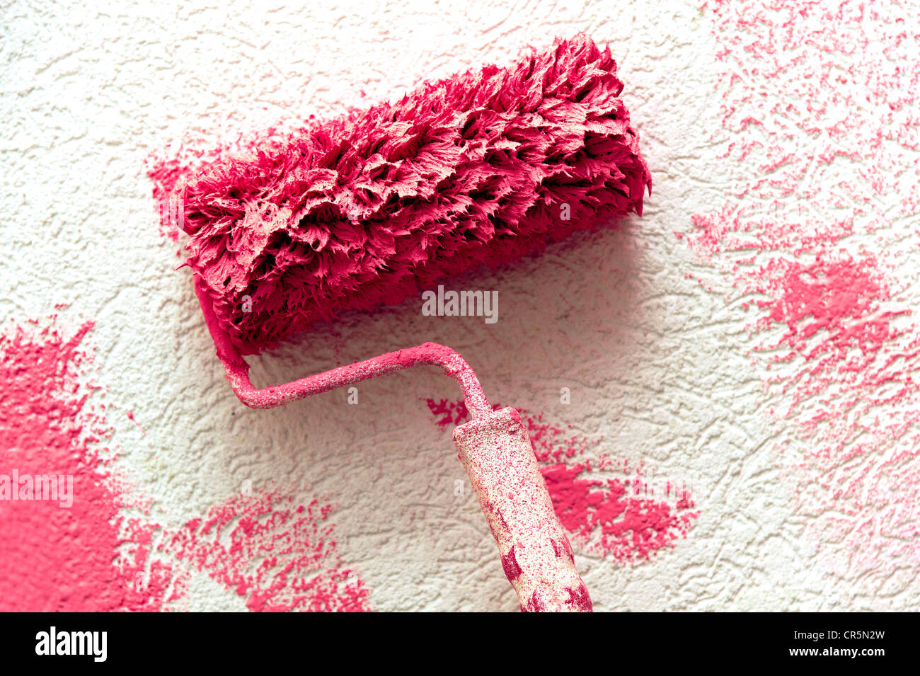Rullo di verniciatura con vernice rosa su una parete bianca Foto Stock