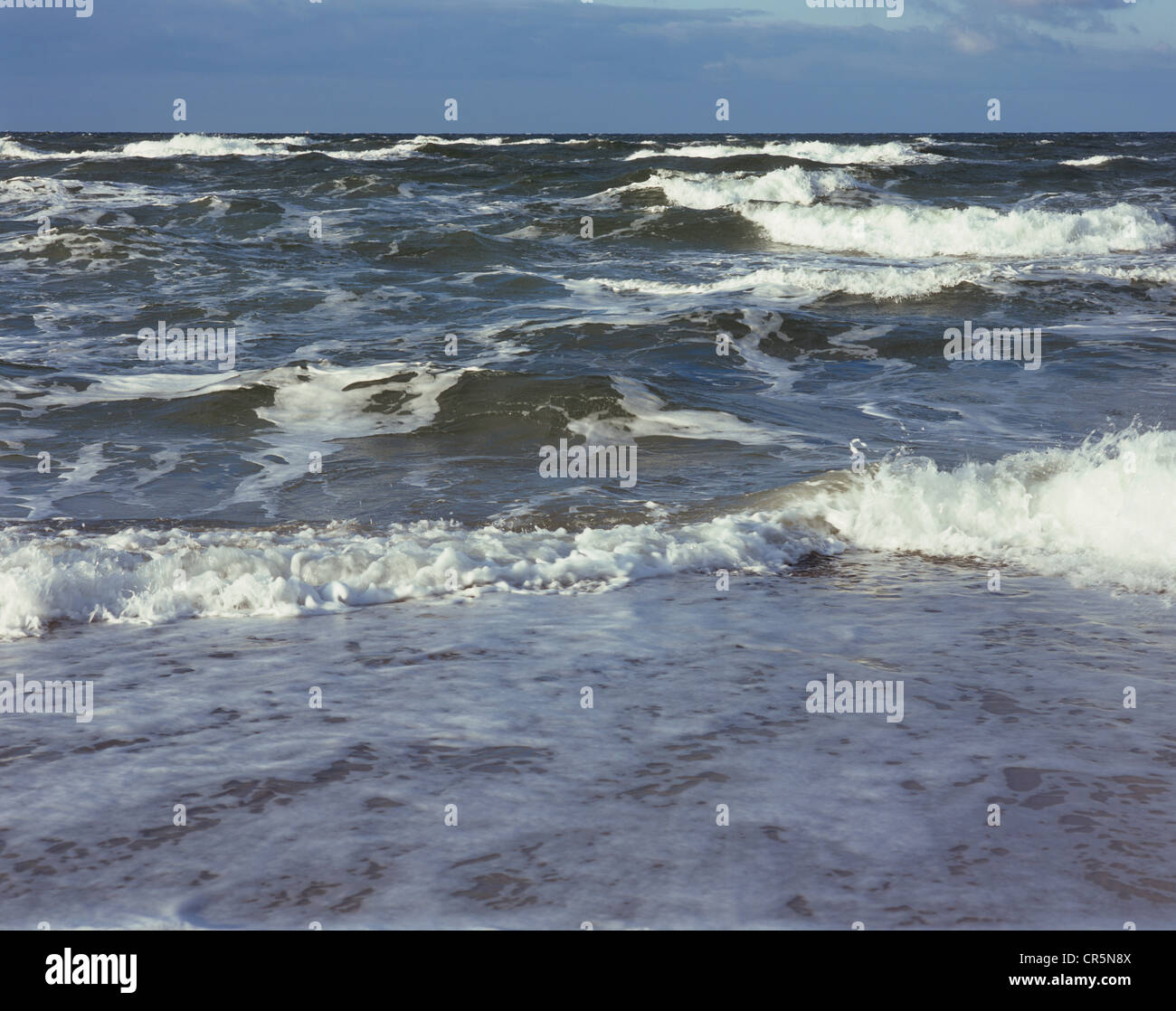 Onde, spiaggia occidentale della penisola Darss, Western Pomerania Area Laguna National Park, Meclemburgo-Pomerania, Mar Baltico Foto Stock