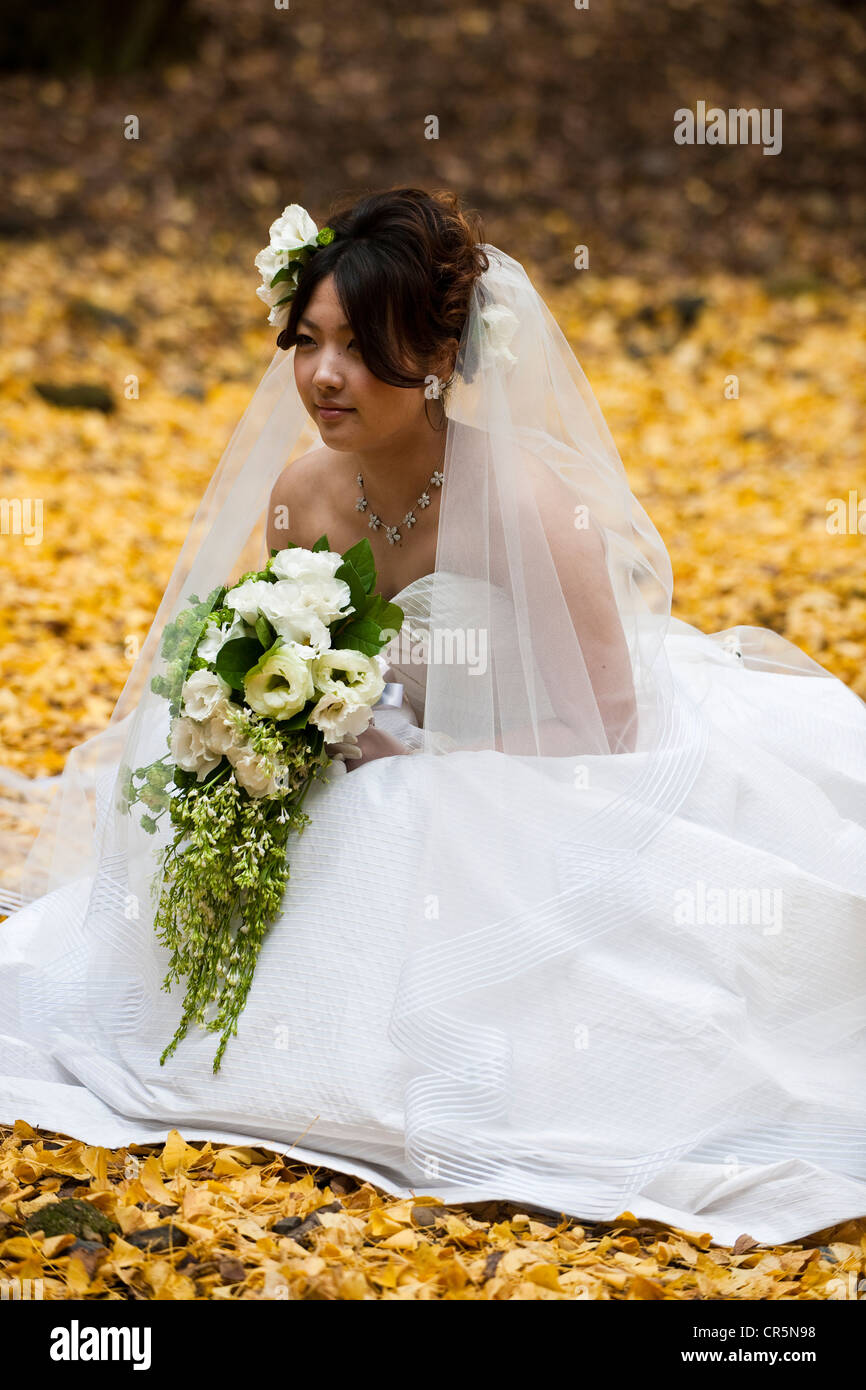 Giappone, isola di Honshu, Kinki regione, città di Nara, Parco di Nara, giovane sposa Foto Stock