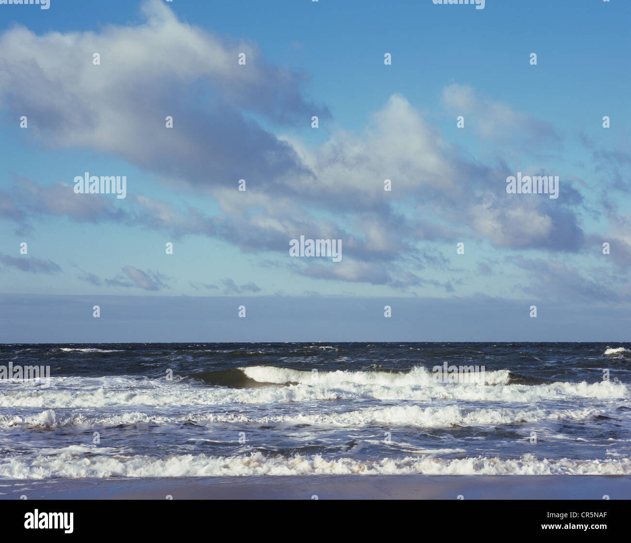Onde, Mar Baltico, western beach, Darss, Western Pomerania Area Laguna National Park, Meclemburgo-Pomerania Occidentale Foto Stock