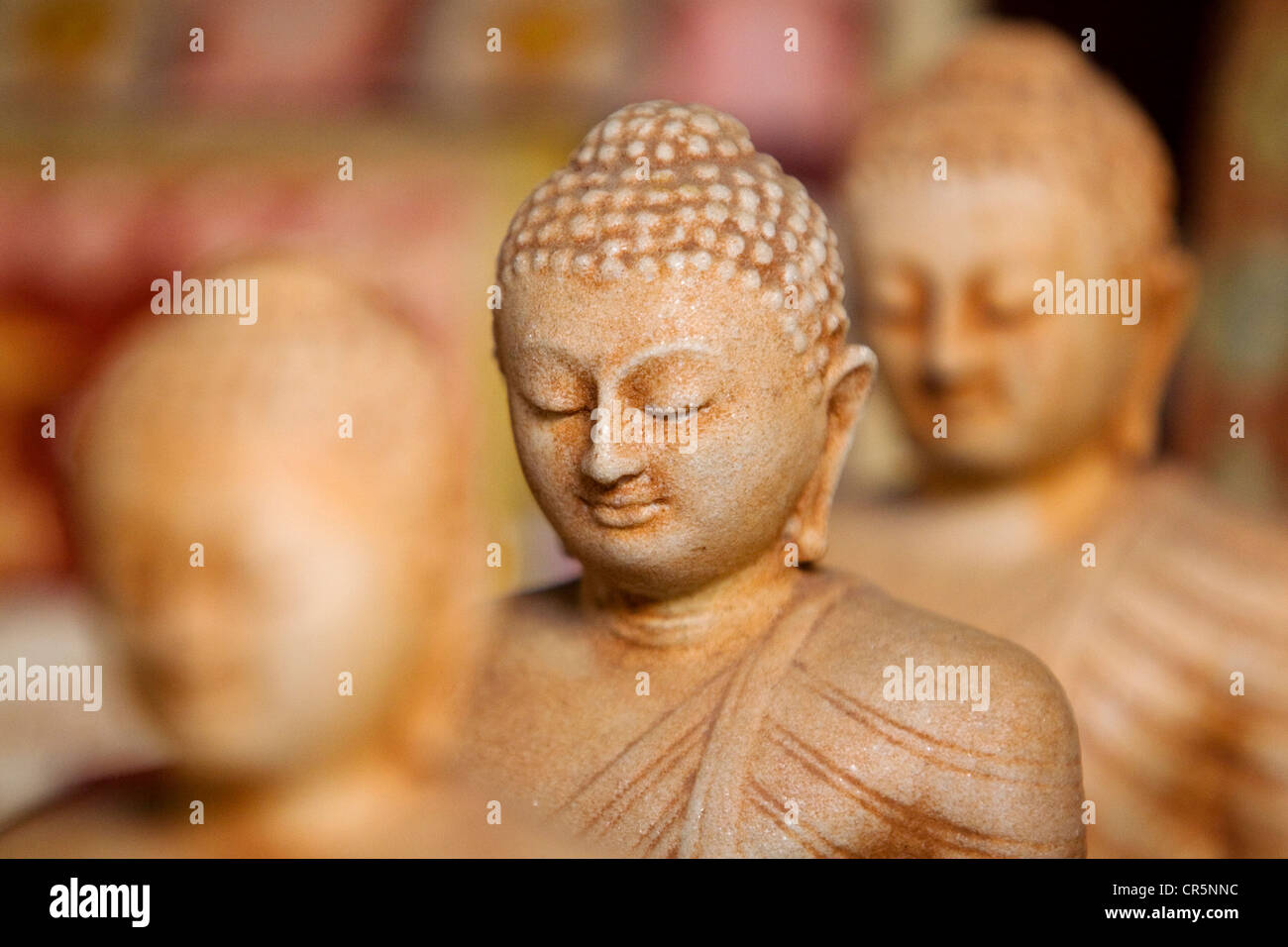 Legno scolpito statue di Buddha in un Forte Galle regali, Galle, Southern, Sri Lanka Foto Stock