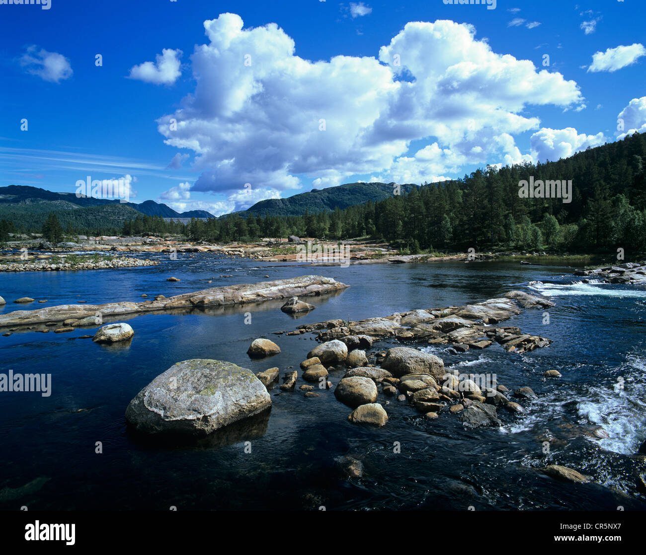 La vasta Otra fiume nella valle di Setesdal a sud di Hovden vicino Berdalen, Aust-Agder, Norvegia, Scandinavia, Europa Foto Stock
