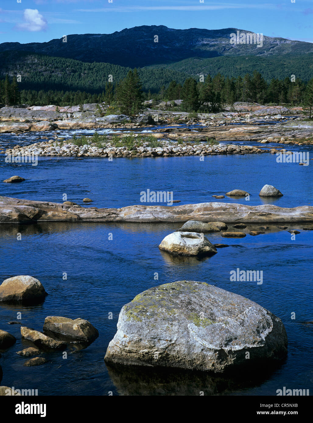 La vasta Otra fiume nella valle di Setesdal a sud di Hovden vicino Berdalen, Aust-Agder, Norvegia, Scandinavia, Europa Foto Stock
