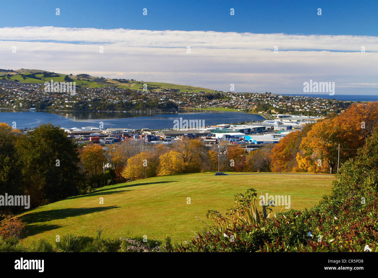 Vista su Dunedin, Penisola di Otago e Otago Harbour dalle unità Park, in autunno, Dunedin, Isola del Sud, Nuova Zelanda Foto Stock