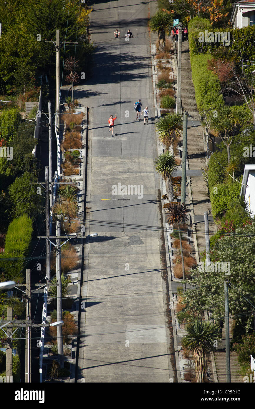 Baldwin Street ( la strada più ripida del mondo ), Dunedin, Isola del Sud, Nuova Zelanda Foto Stock