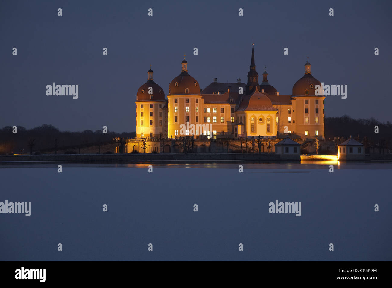 Risultati immagini per Salva Moritzburg Castle Dresden, Germany