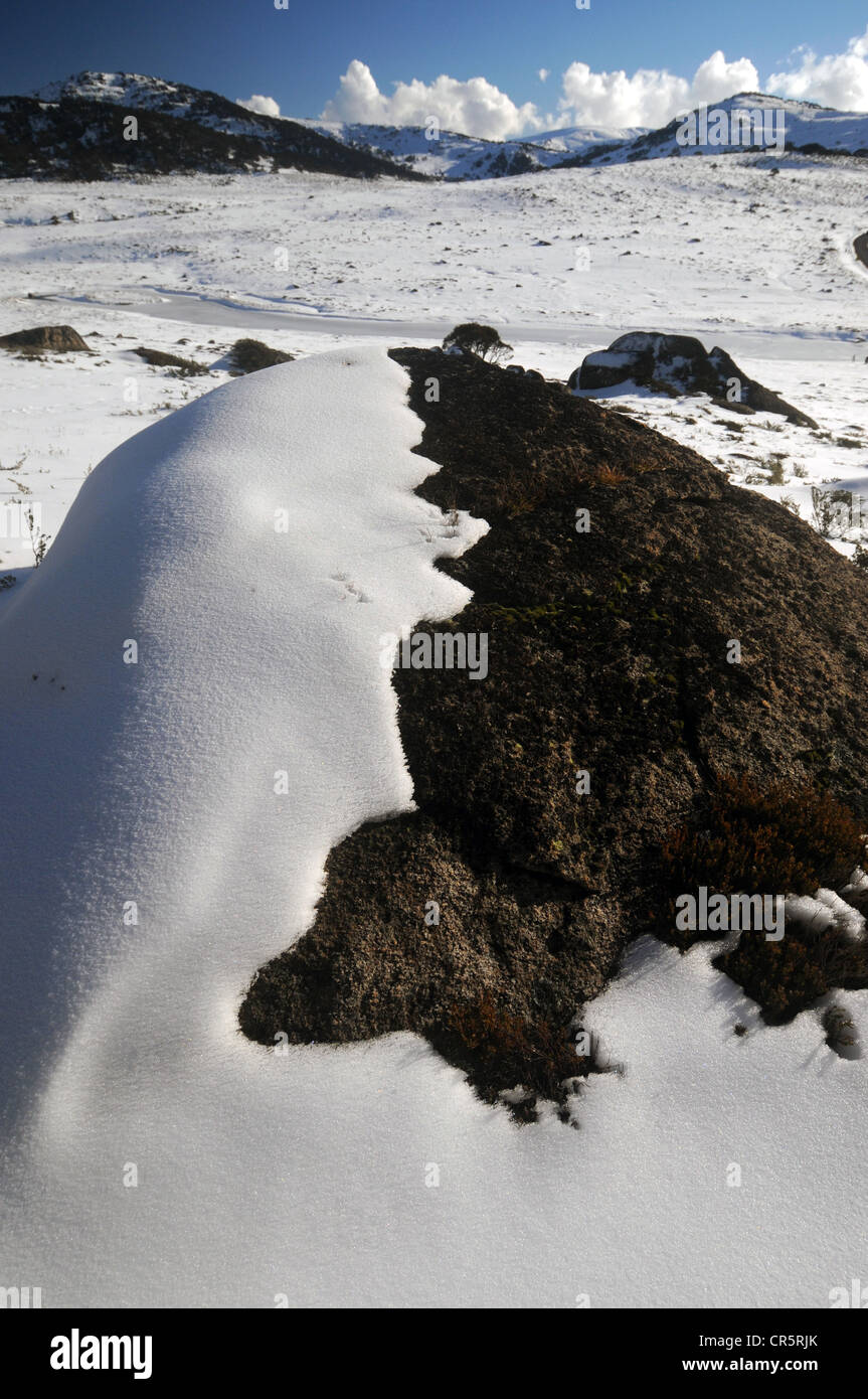 Neve sul boulder, con il vertice di Mt Kosciuszko in background, Kosciuszko National Park, NSW, Australia Foto Stock