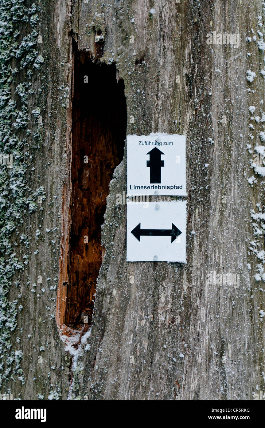 Gli escursionisti segnavia su un vecchio ceppo di albero, Taunus, Hesse, Germania, Europa PublicGround Foto Stock